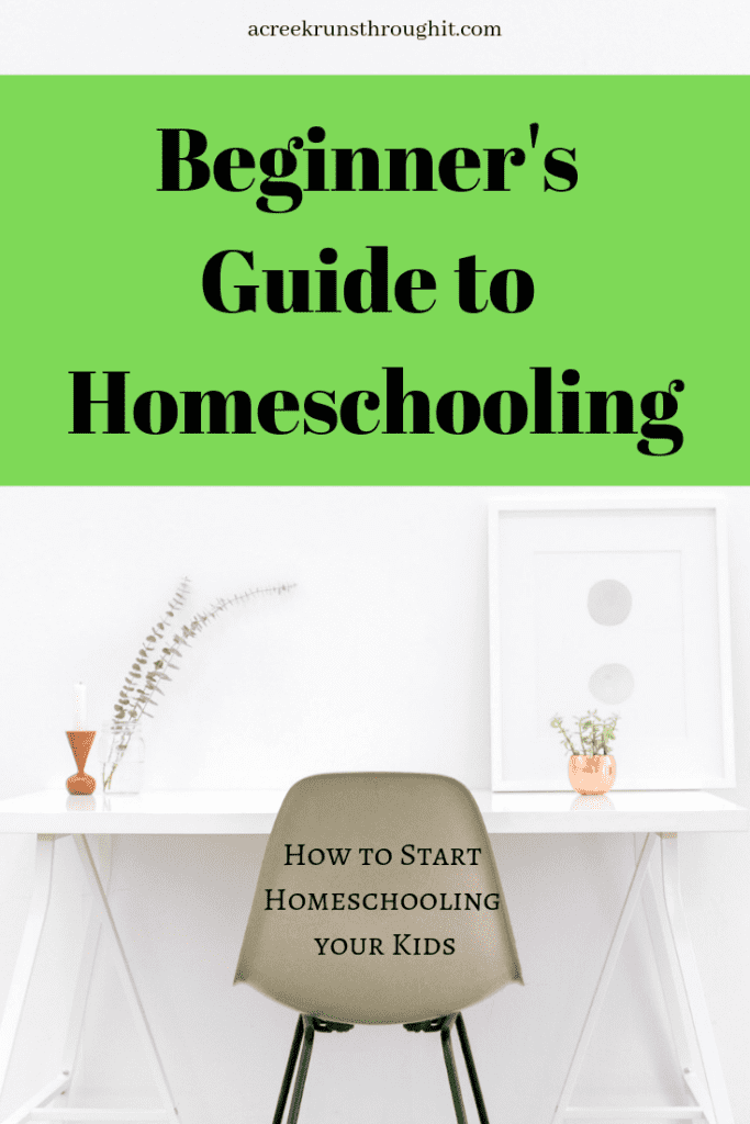 How to homeschool your kids
